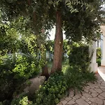 La Chiocciola לינה וארוחת בוקר 4*